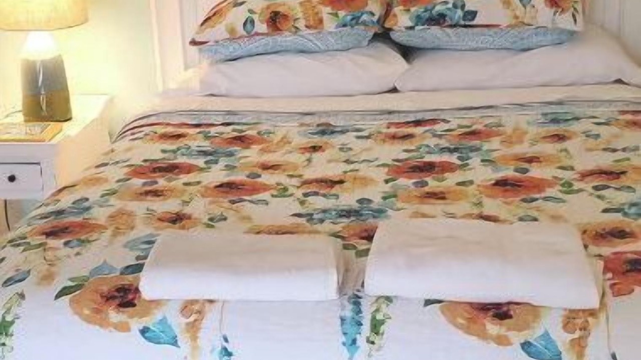 Photo of Others in Davis Islands