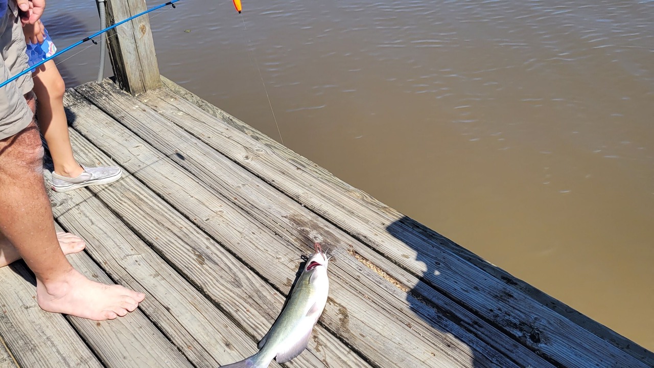 Photo of Outdoor in Dry Creek