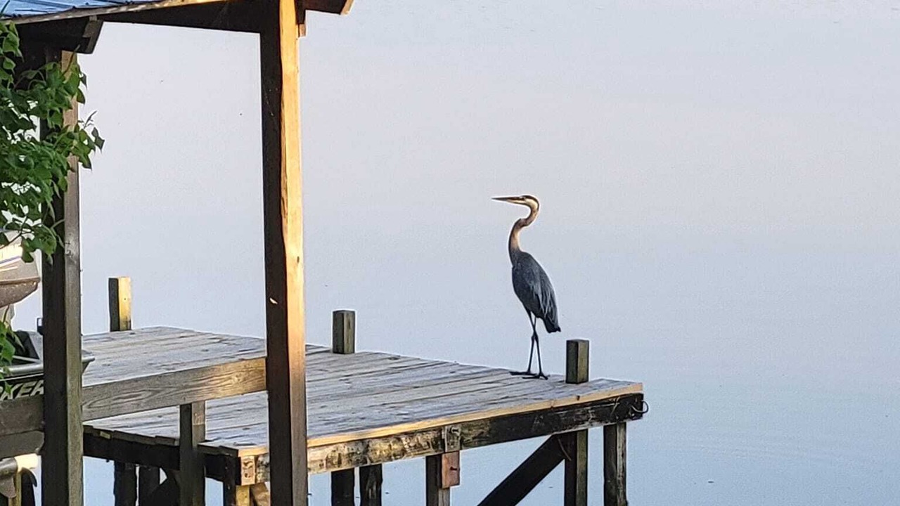 Photo of Others in Dry Creek