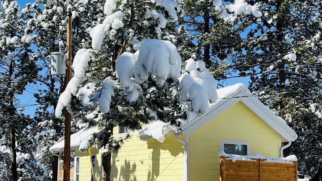 Photo of Outdoor in Woodland Park