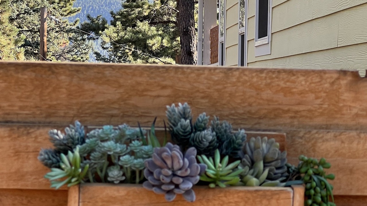 Photo of Outdoor in Woodland Park
