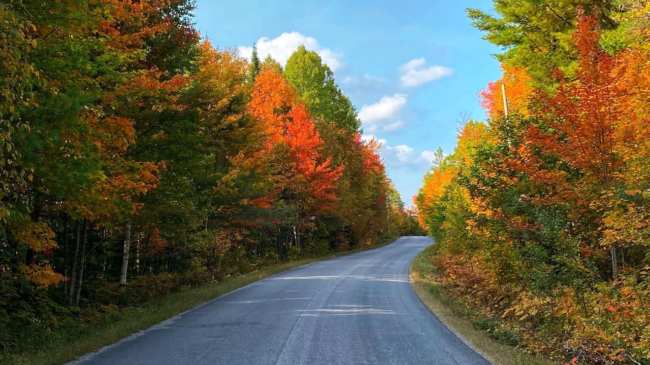 Photo of Outdoor in Utterson
