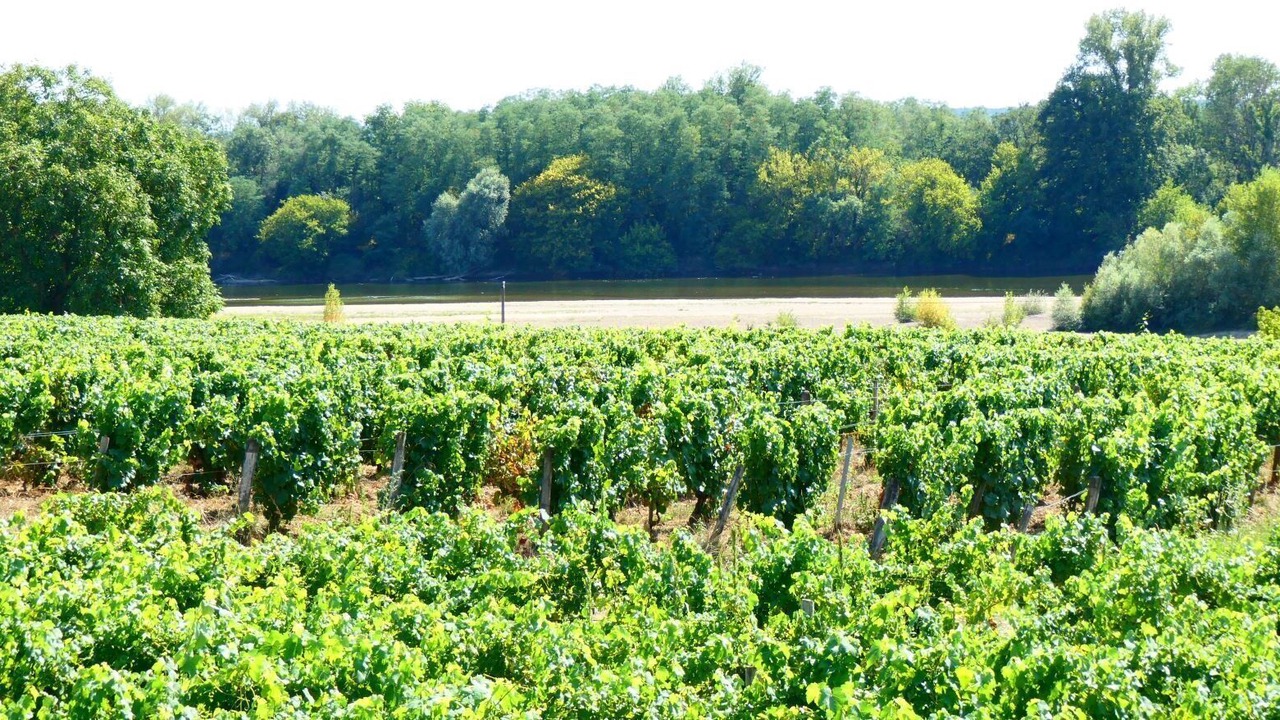 Photo of Outdoor in Pouilly-sur-Loire