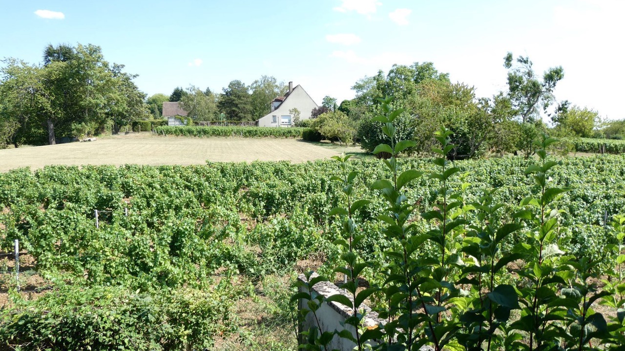 Photo of Outdoor in Pouilly-sur-Loire