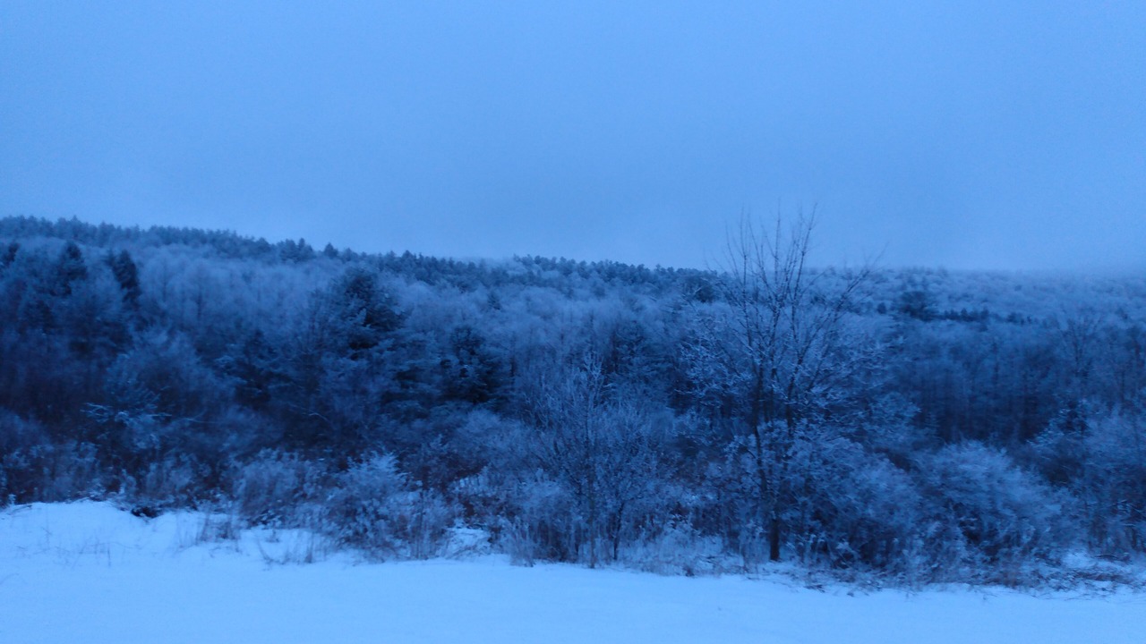Photo of Others in Etna