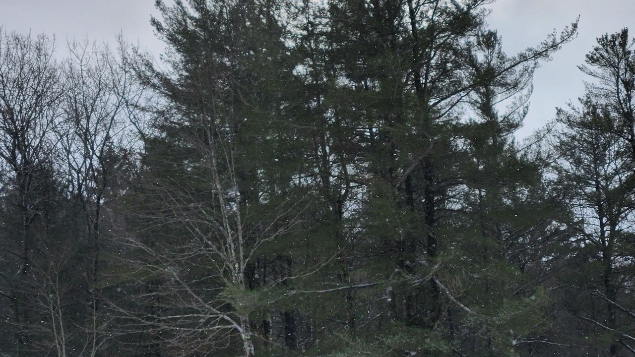 Photo of Outdoor in Etna