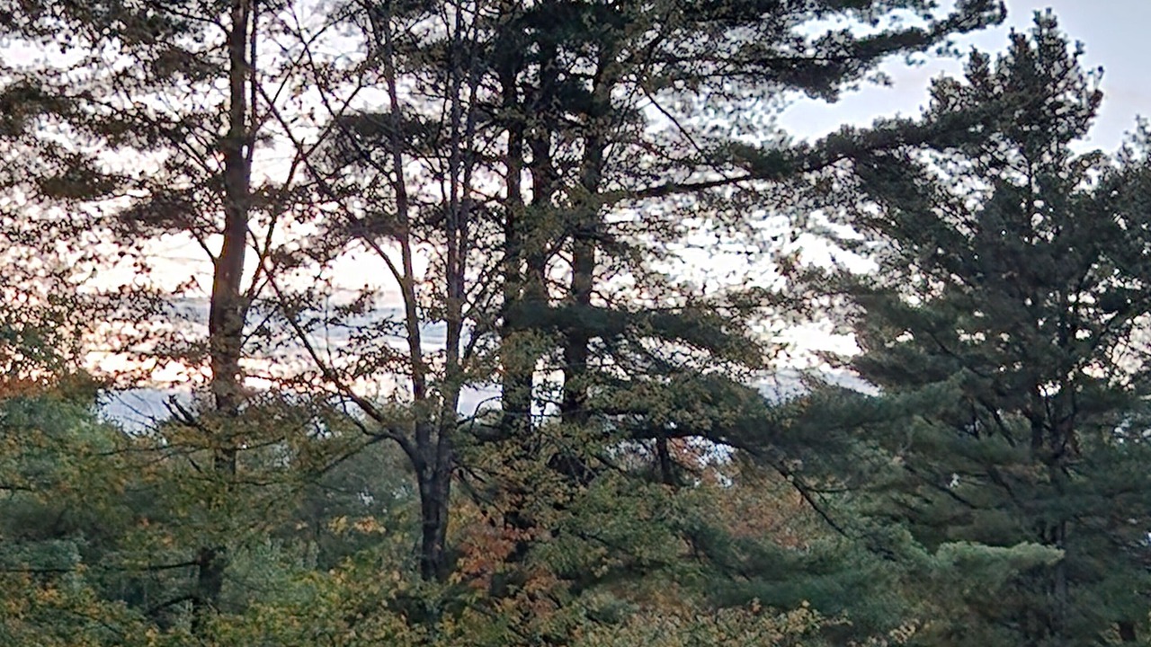 Photo of Others in Etna