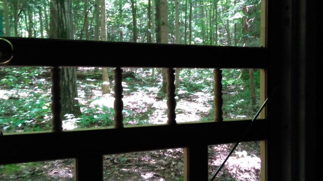 Photo of Others in Etna