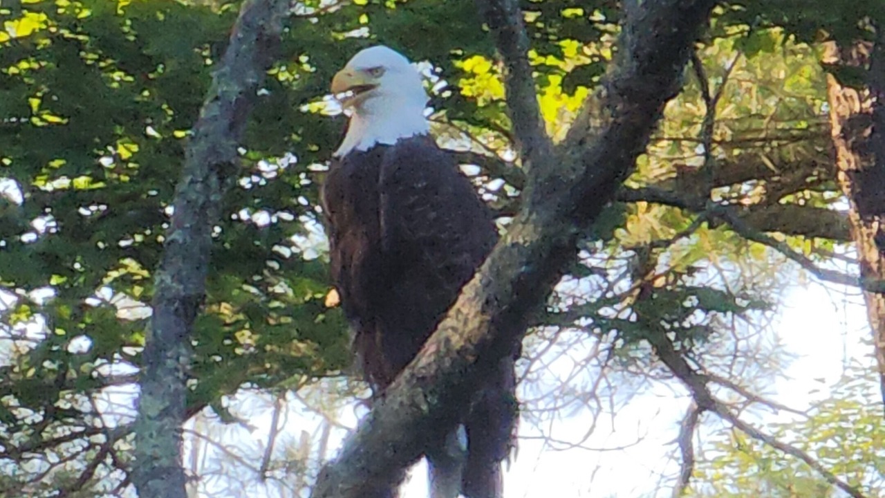 Photo of Others in Woodbourne