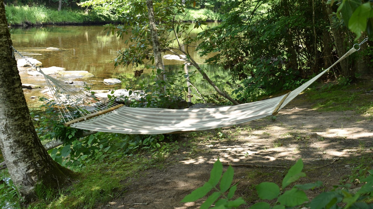 Photo of Outdoor in Woodbourne