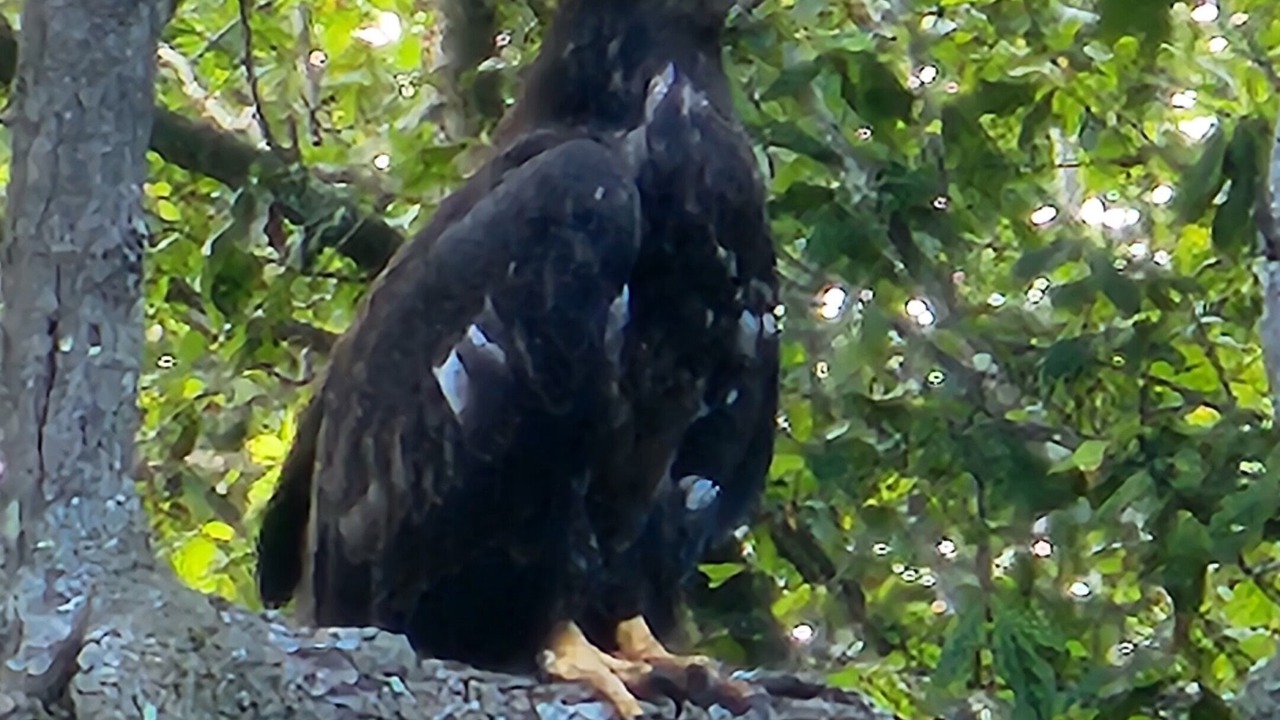 Photo of Others in Woodbourne