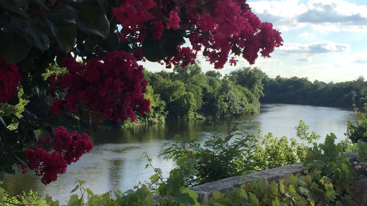 Photo of Outdoor in La Force