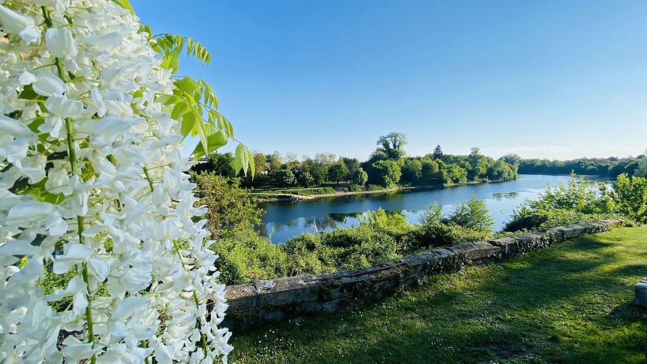 Photo of Outdoor in La Force