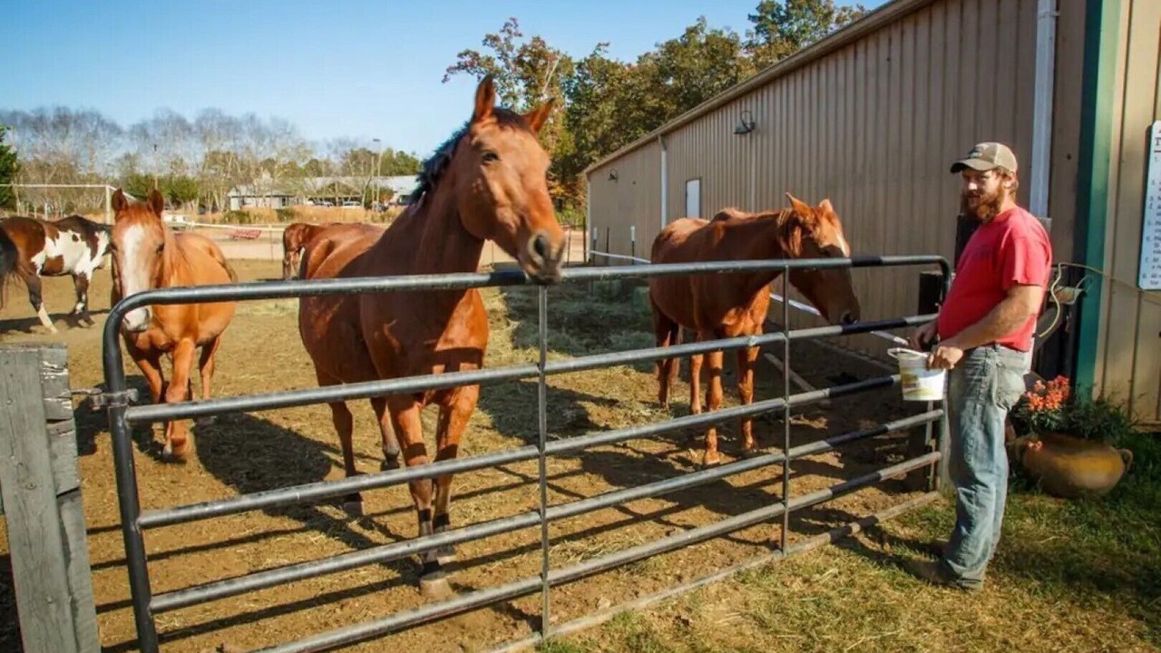 Photo of Outdoor in Clarkesville