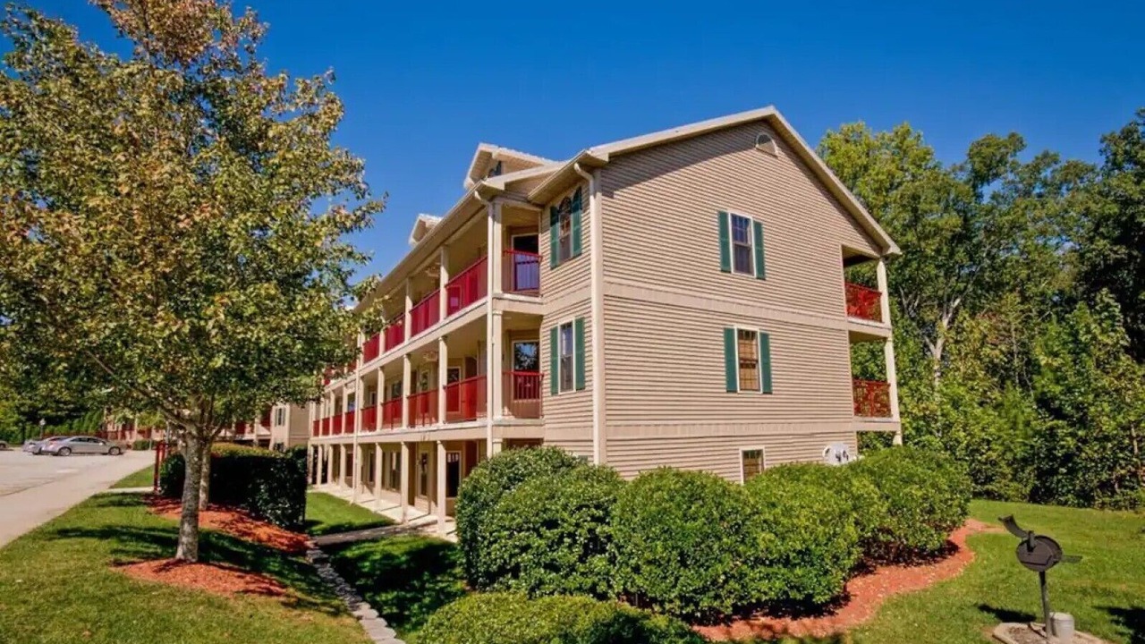 Photo of Outdoor in Clarkesville