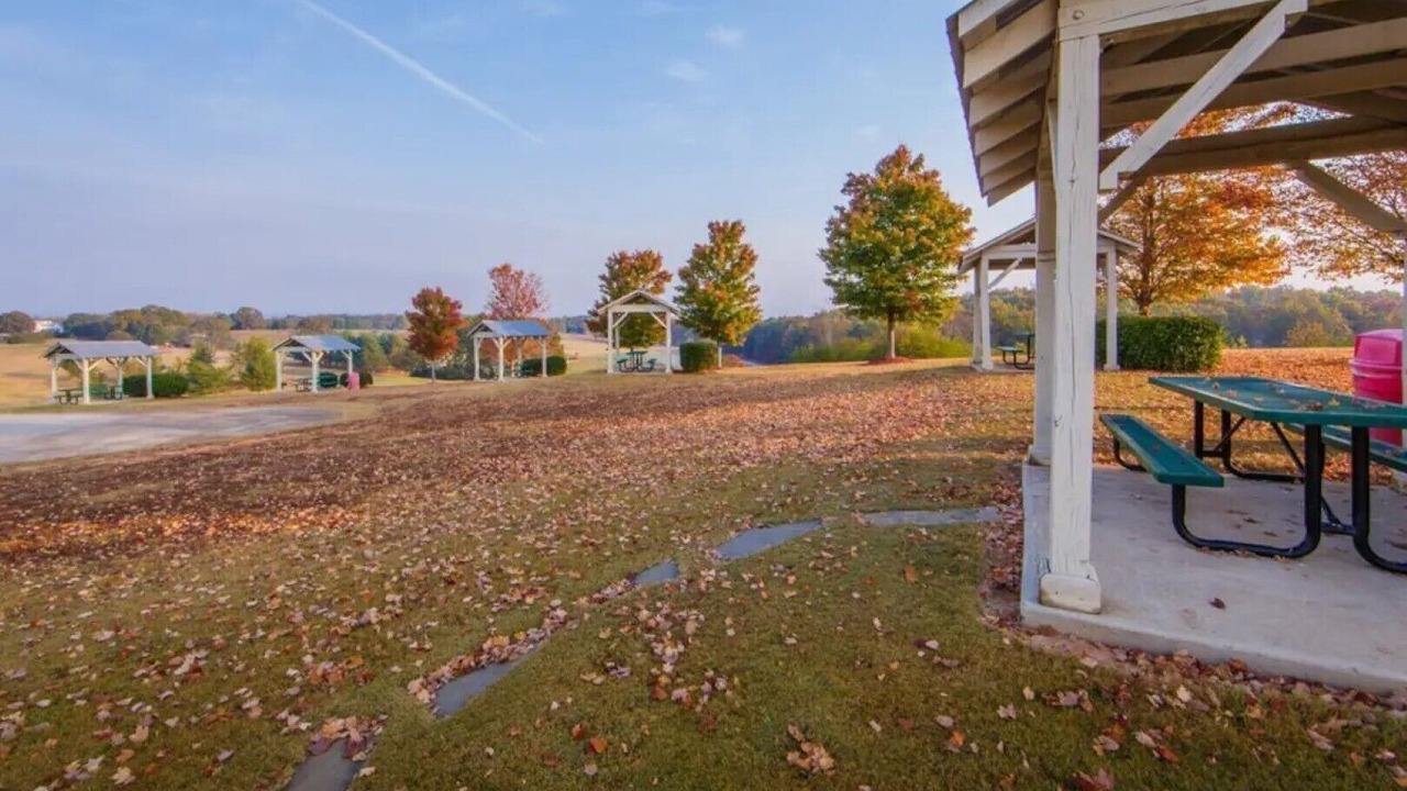 Photo of Outdoor in Clarkesville