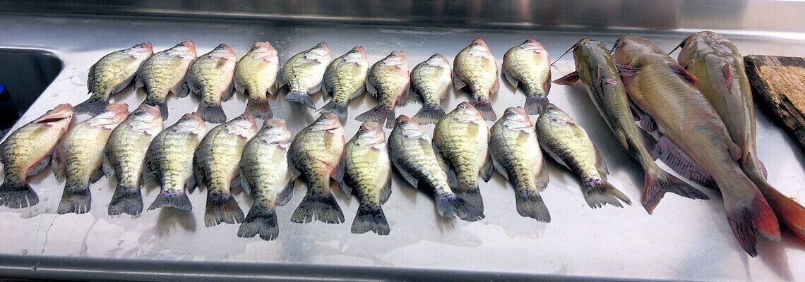 Photo of Outdoor in Camden