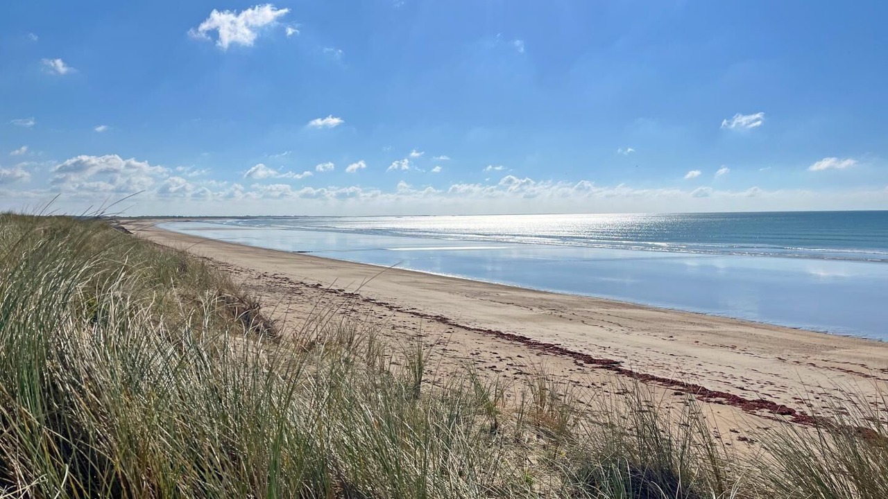 Photo of Others in Riantec