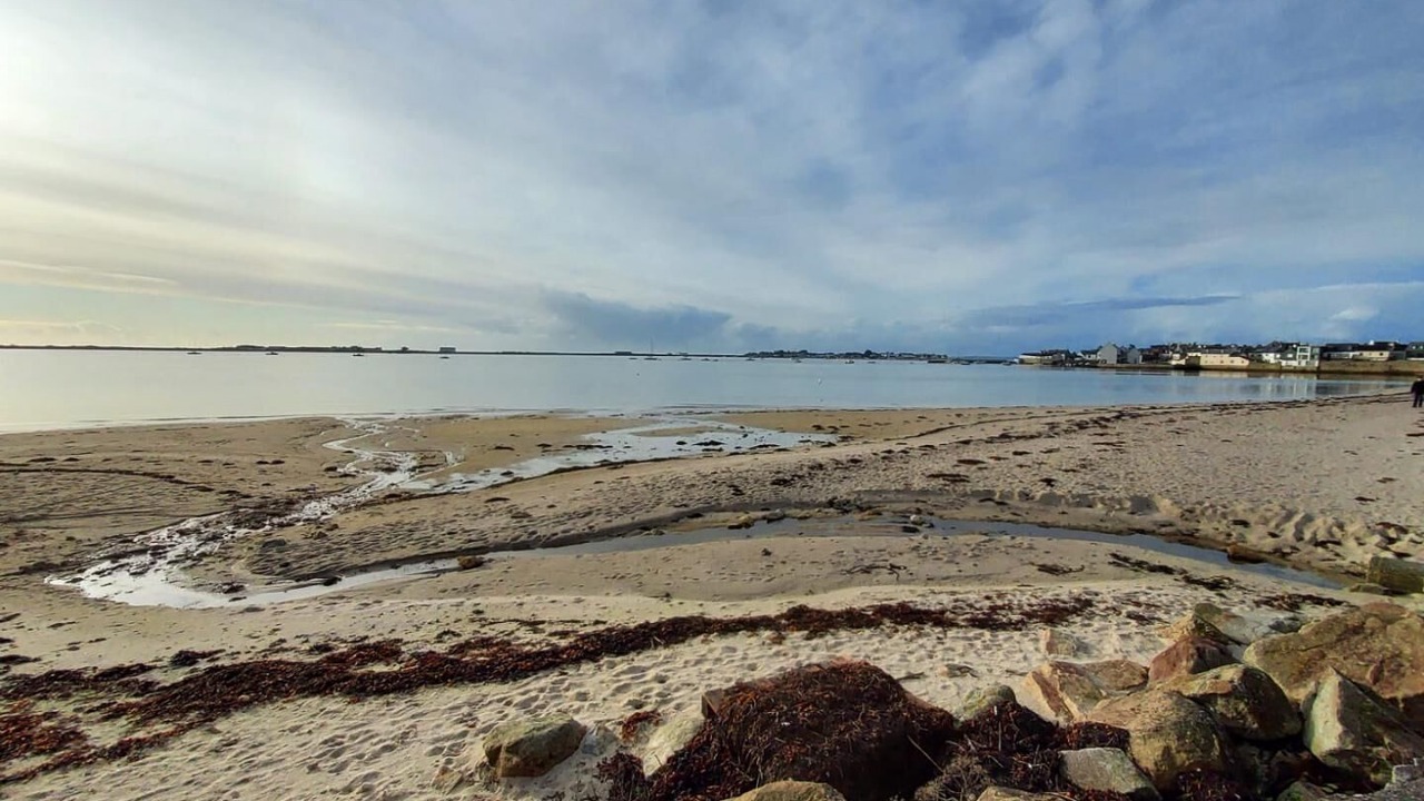 Photo of Others in Riantec