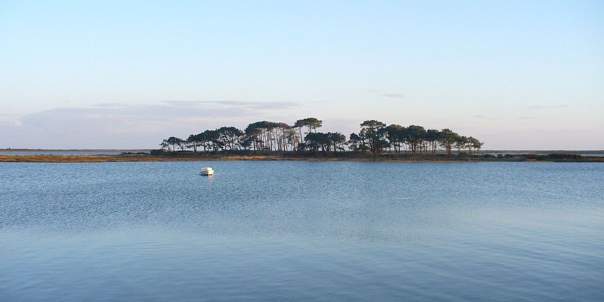 Photo of Others in Riantec