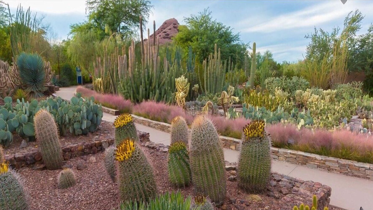 Photo of Outdoor in McCormick Ranch