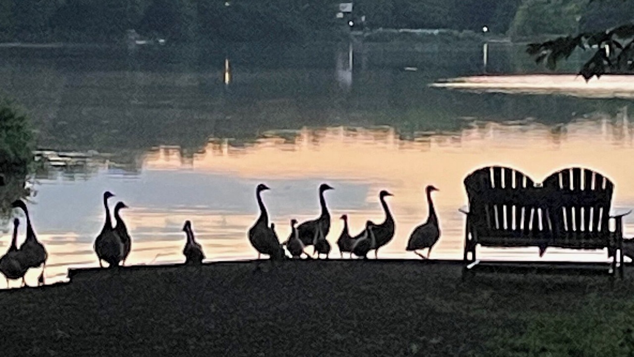 Photo of Others in Bliss