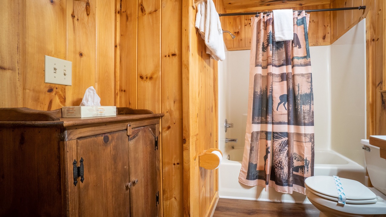 Photo of Bathroom in Sautee Nacoochee