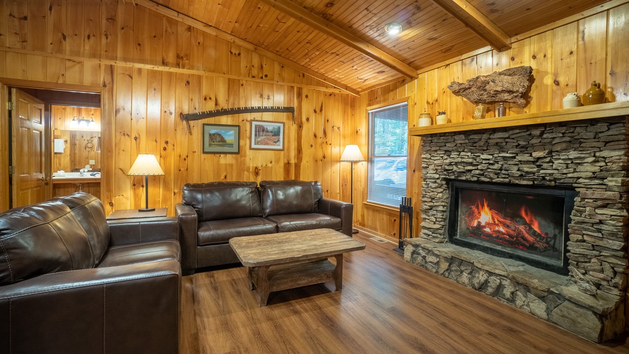 Photo of Livingroom in Sautee Nacoochee