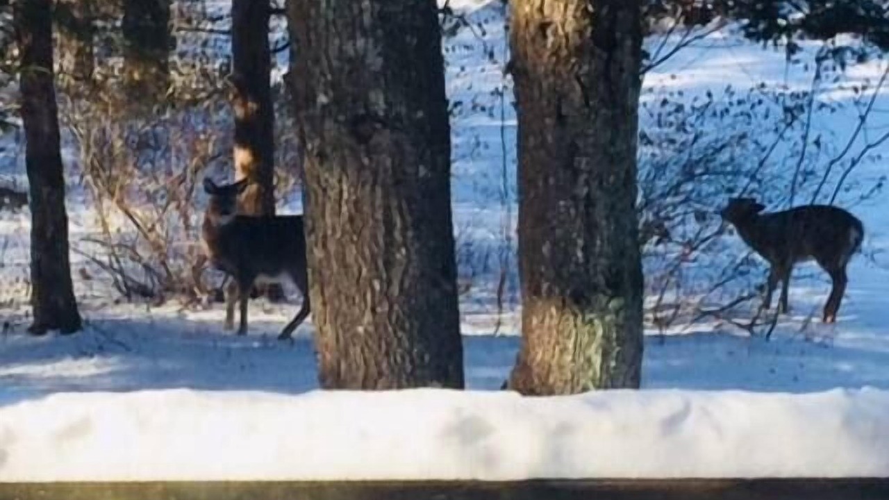 Photo of Others in Kinderhook