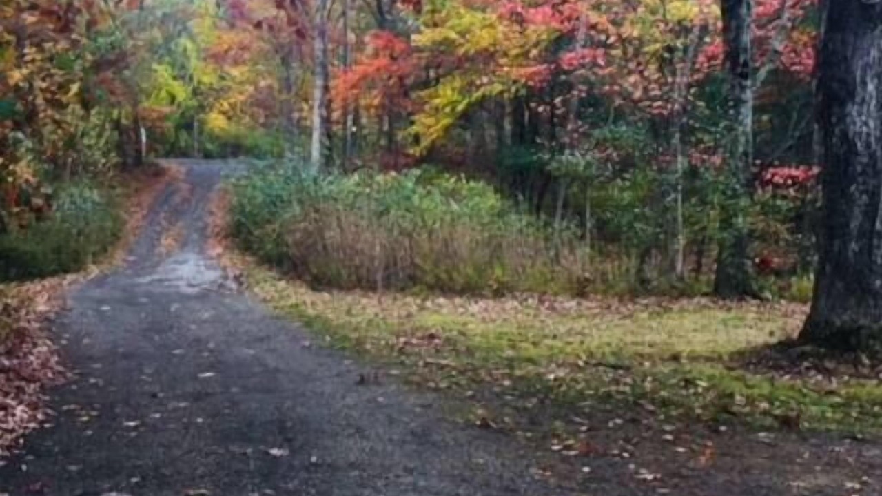 Photo of Others in Kinderhook