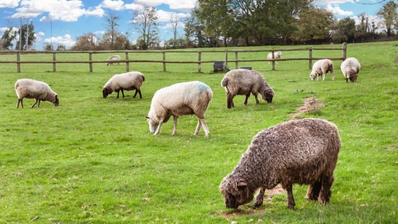 Photo of Others in Litchborough