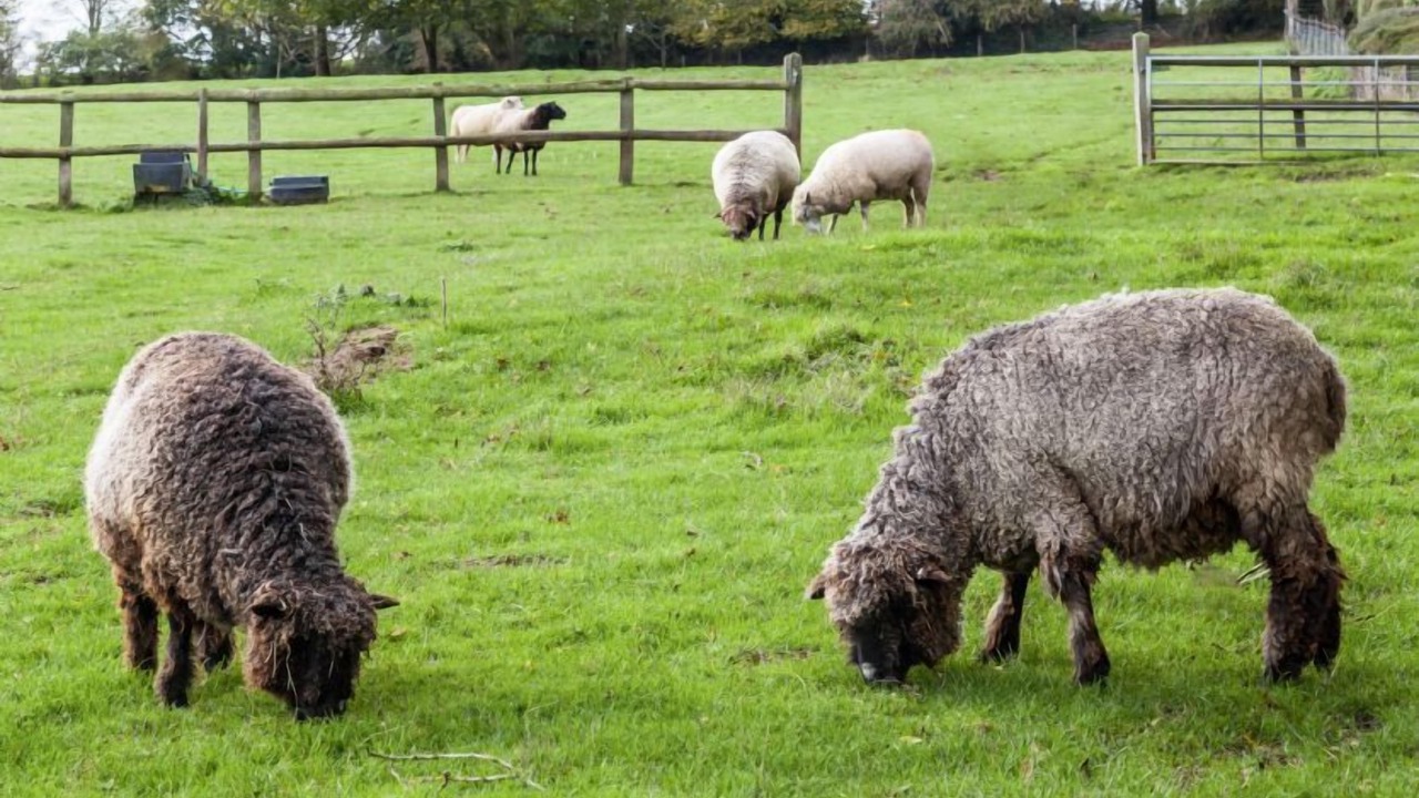 Photo of Others in Litchborough