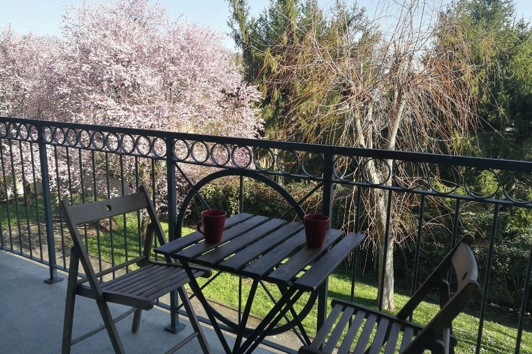 Photo of Outdoor in Toulouse South-East