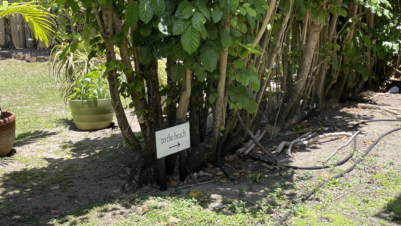 Photo of Outdoor in Wainiha