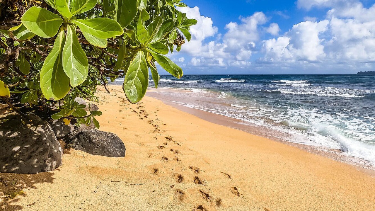 Photo of Others in Wainiha