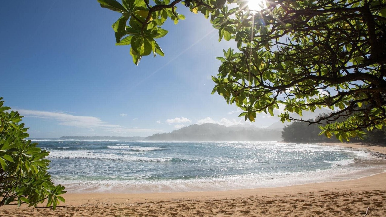 Photo of Others in Wainiha