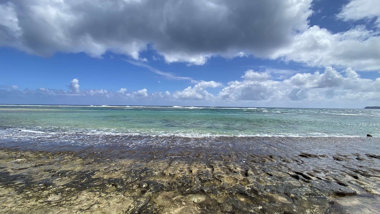 Photo of Others in Wainiha