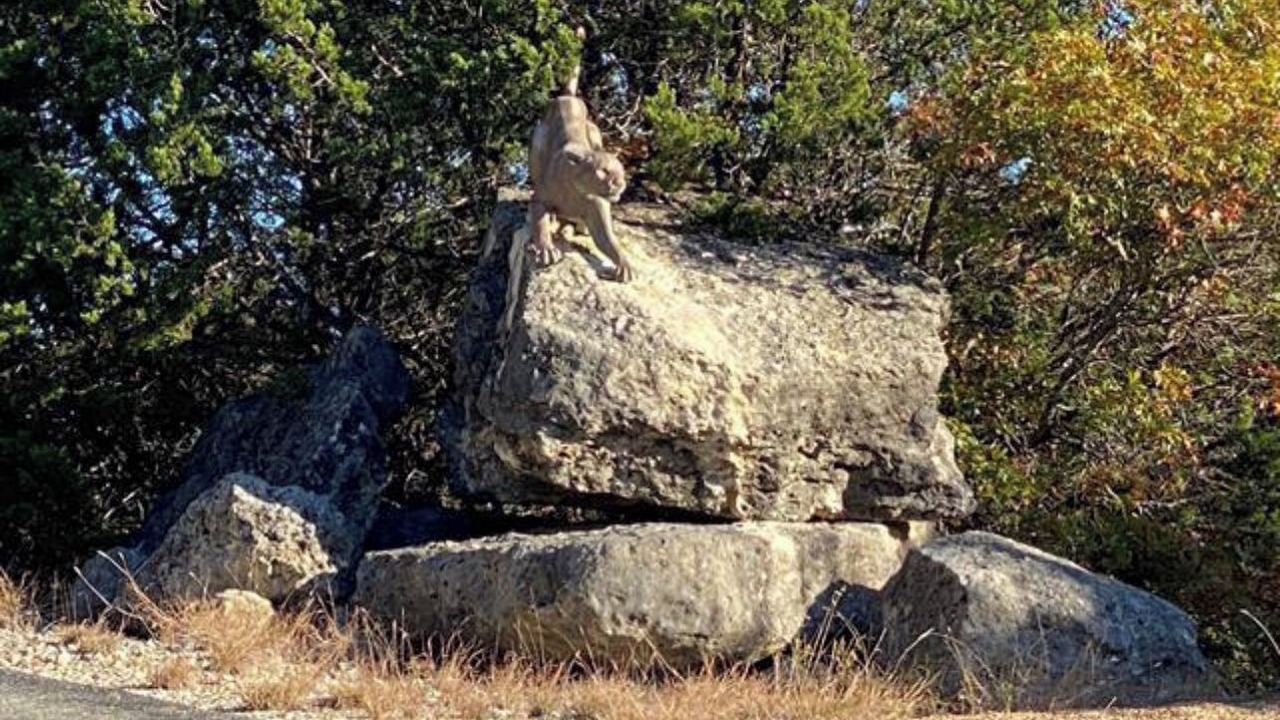 Photo of Others in Paluxy
