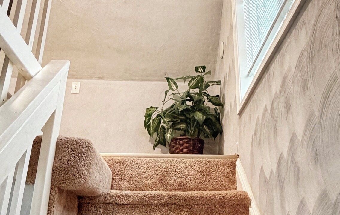 Photo of Others in Portsmouth