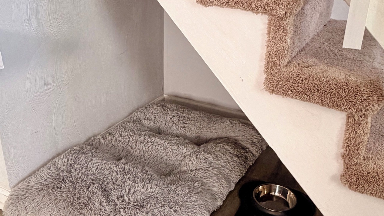 Photo of Others in Portsmouth