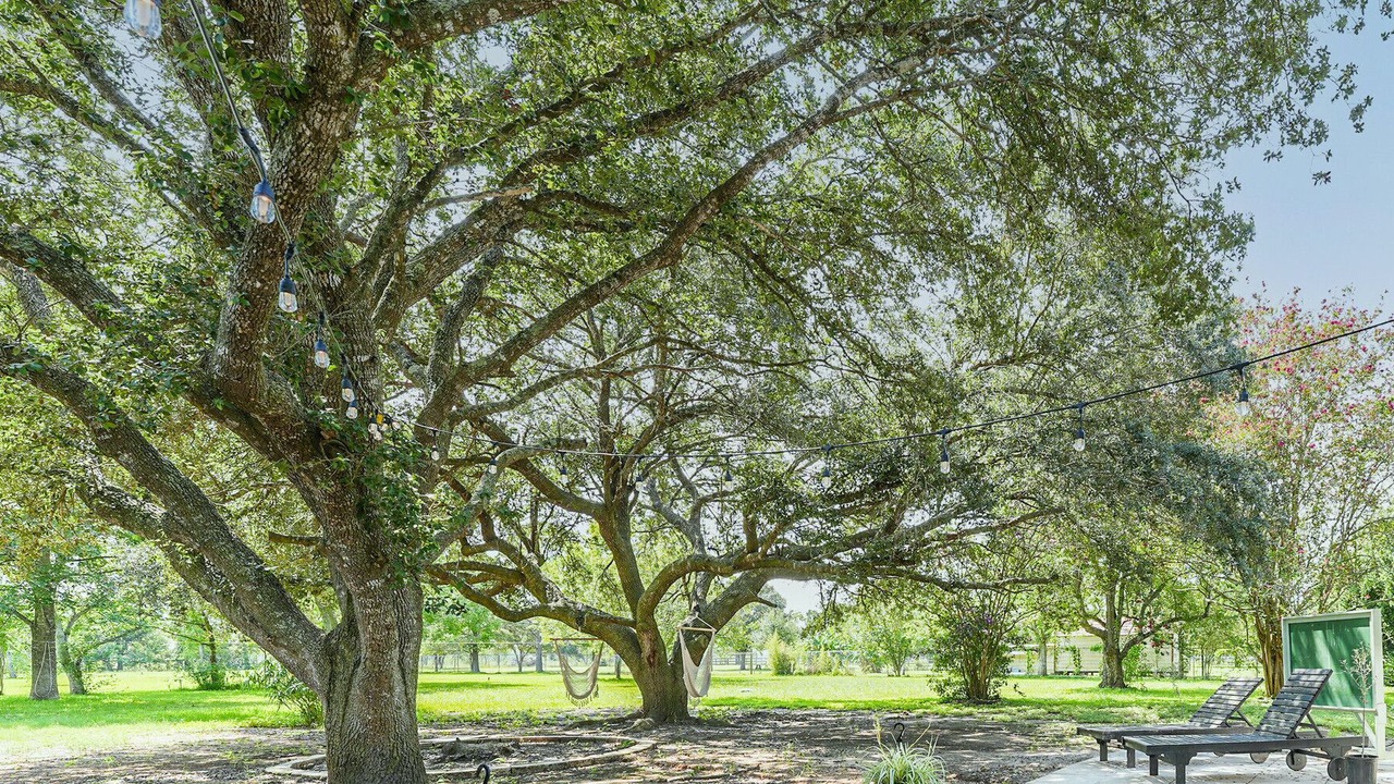 Photo of Others in Alvin