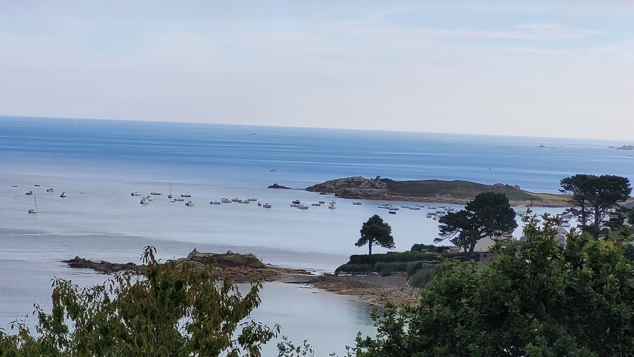 Photo of Others in Trelevern