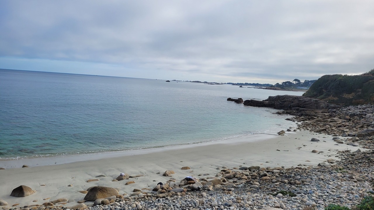 Photo of Others in Trelevern