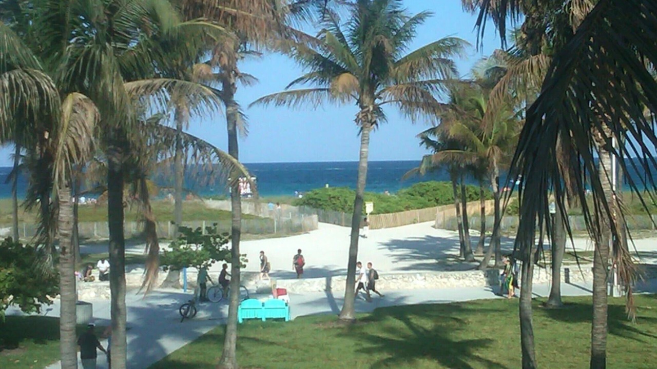 Photo of Outdoor in South Beach