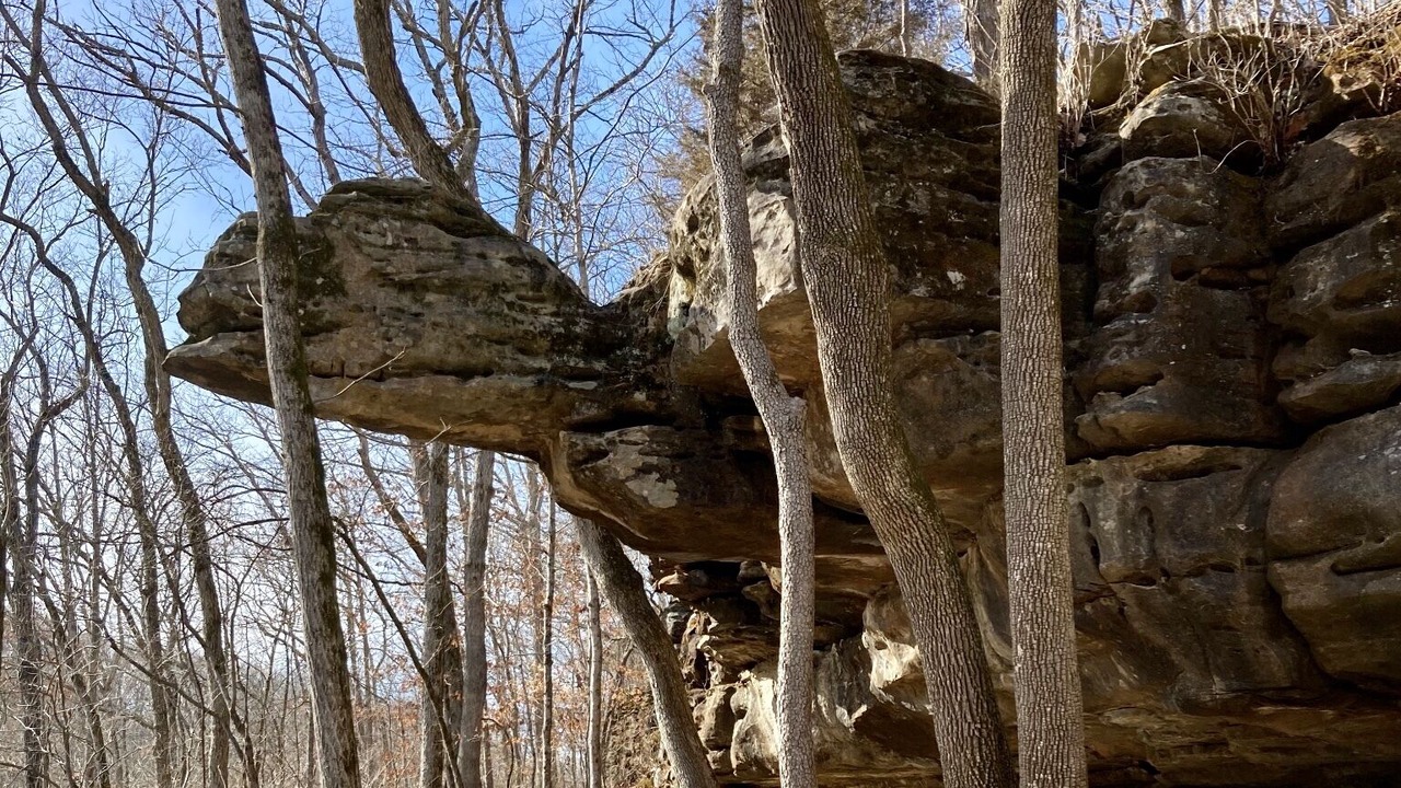 Photo of Outdoor in Bruner