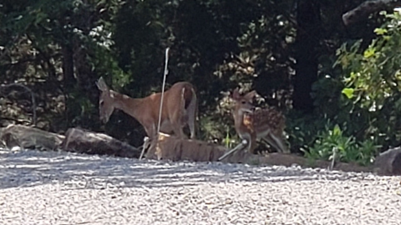 Photo of Outdoor in Canadian