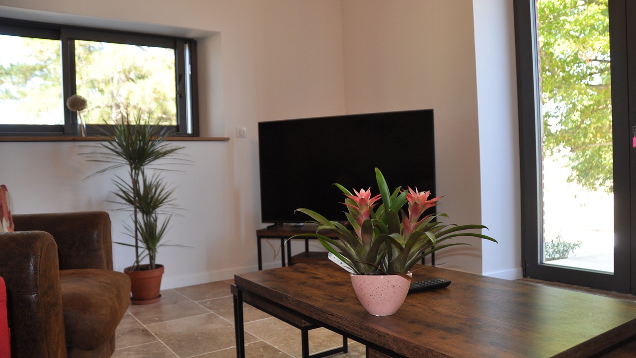 Photo of Livingroom in Aussac