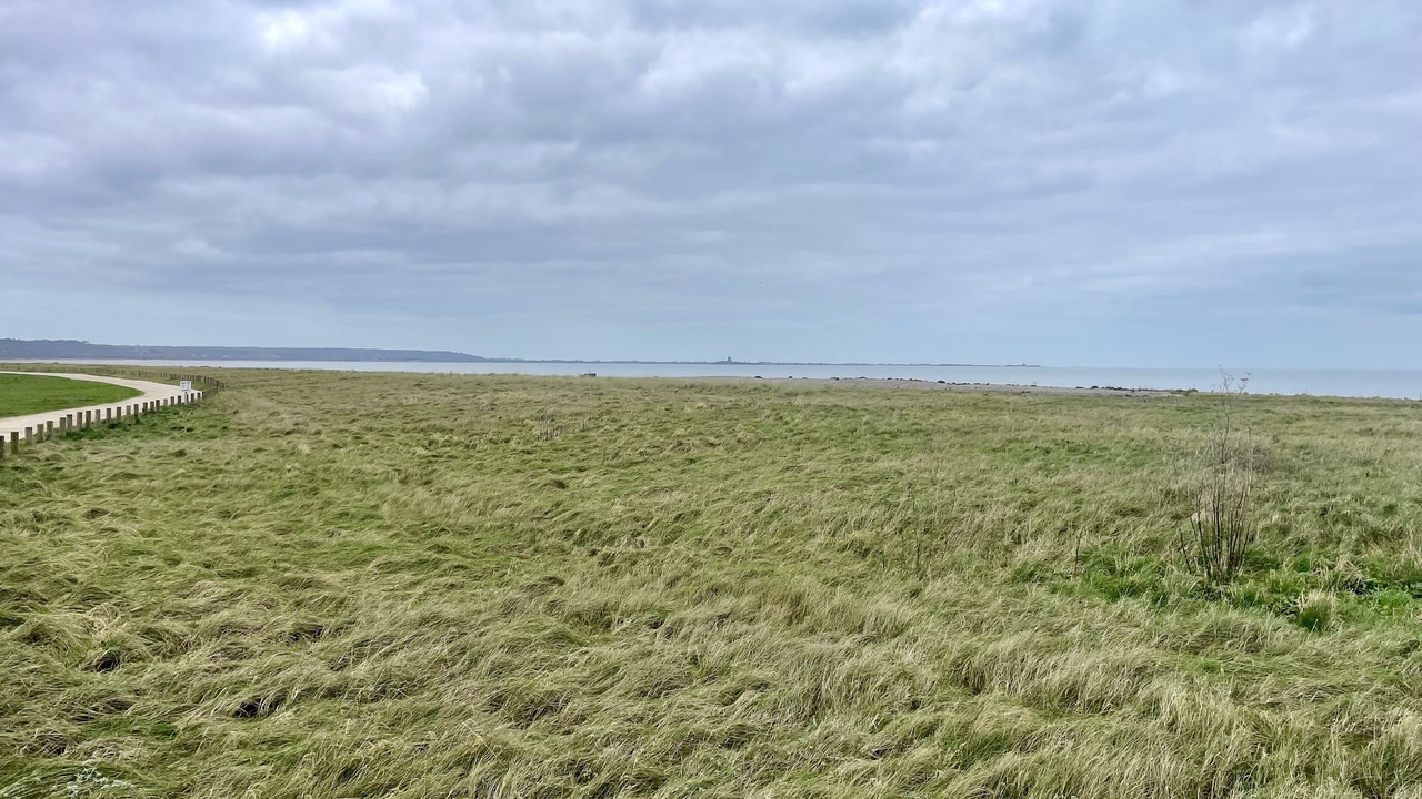 Photo of Others in Lestre