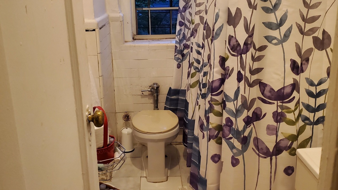 Photo of Bathroom in West Bronx