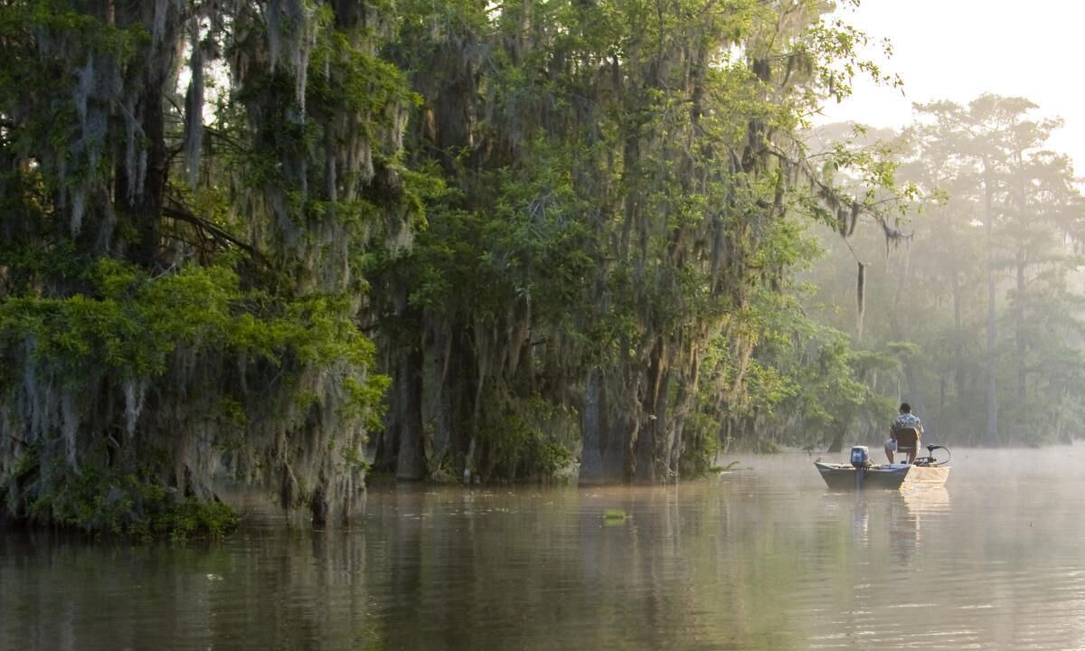 Photo of Others in Lafayette